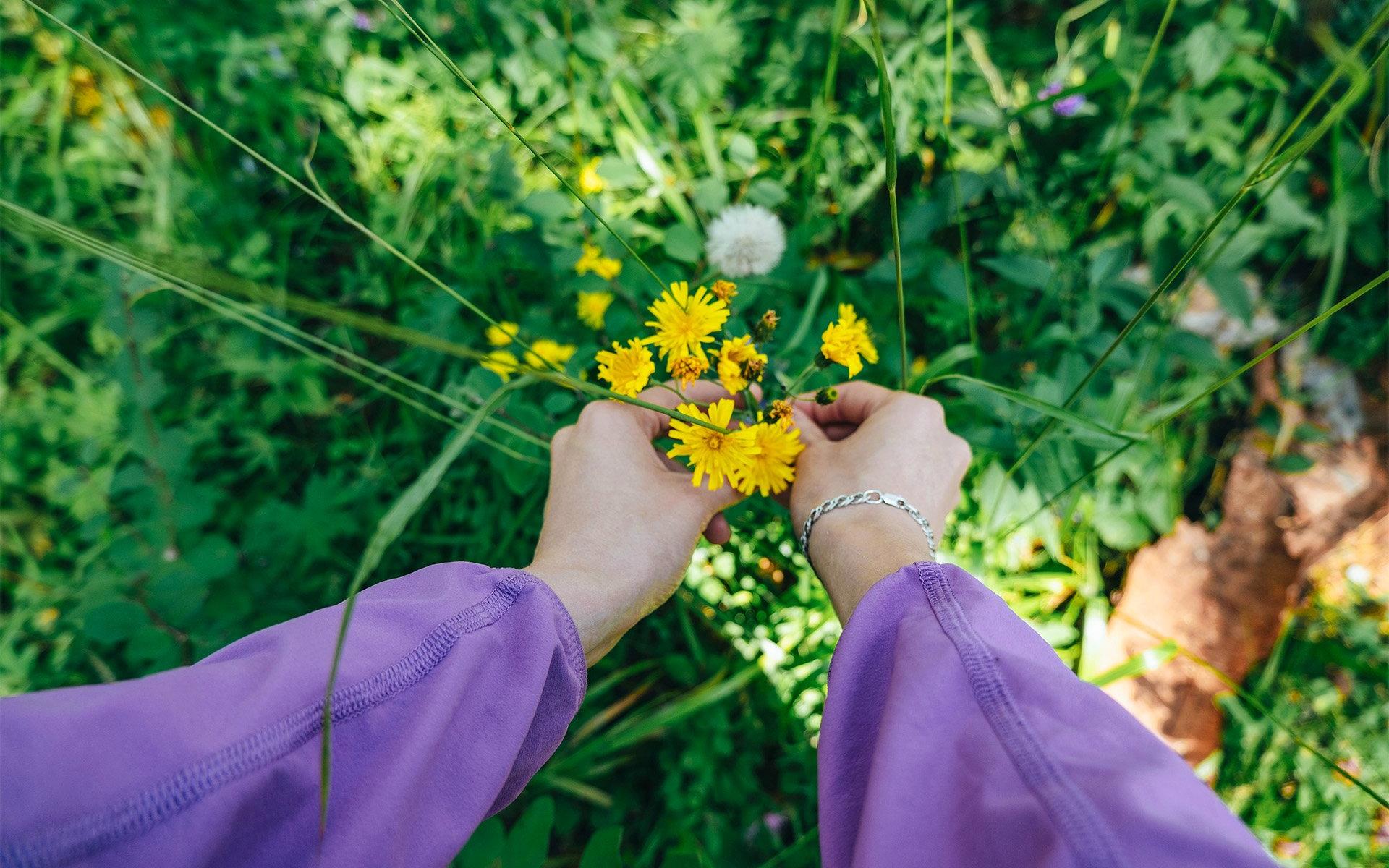 Blumen pflücken