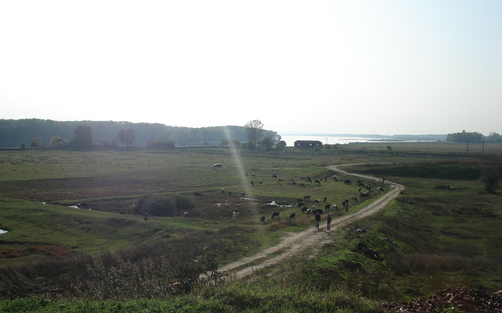 Umgebung in Rumänien