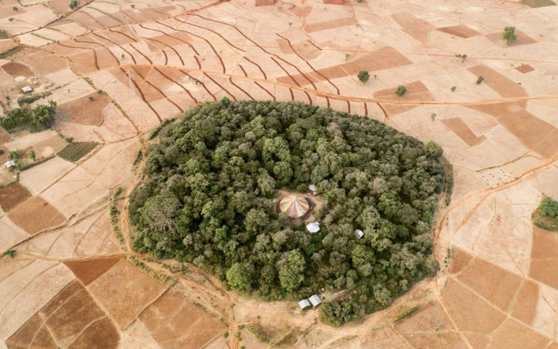 Kirche umringt von einem Wald in Äthiopien