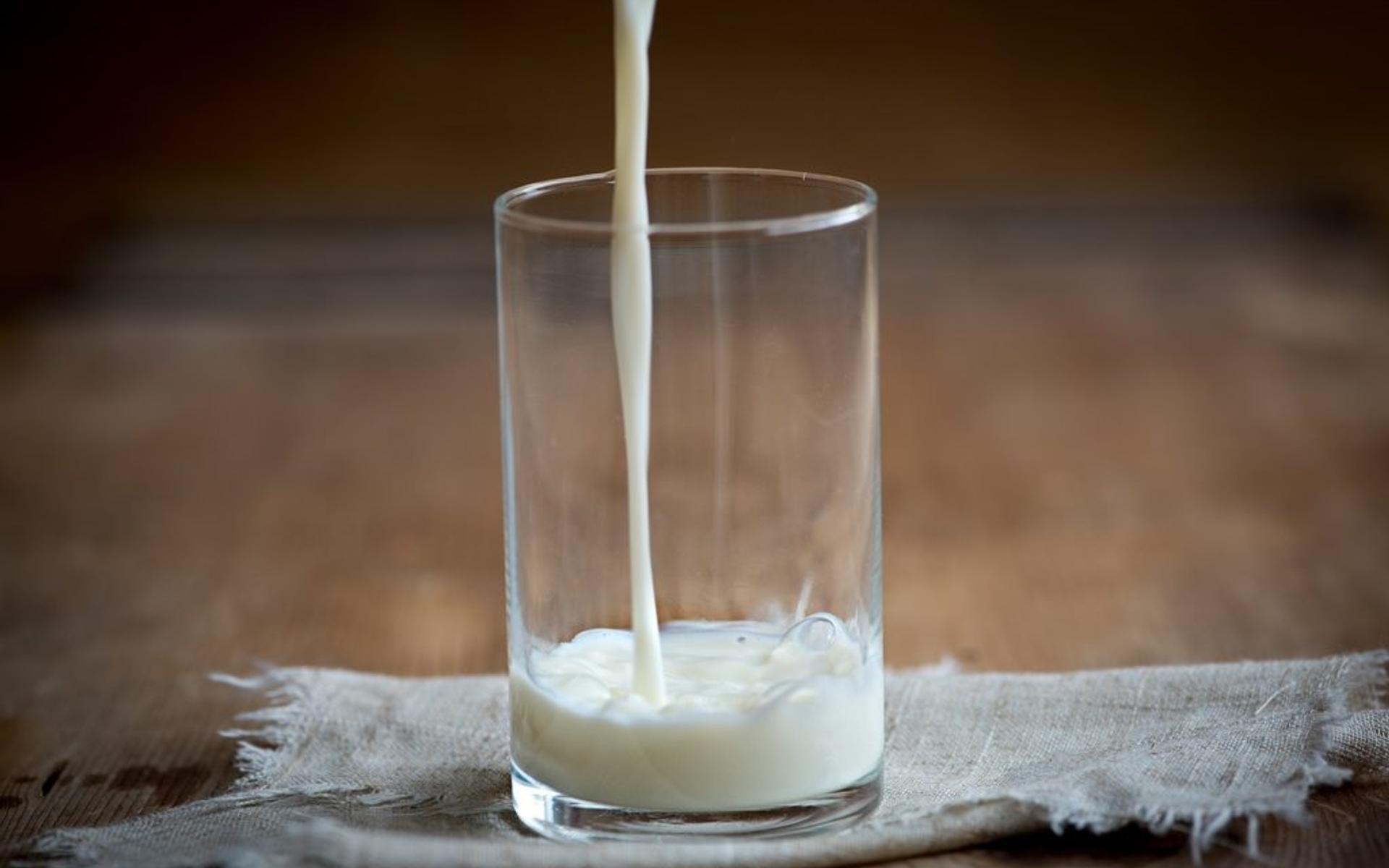 Wie gesund ist Milch wirklich?
