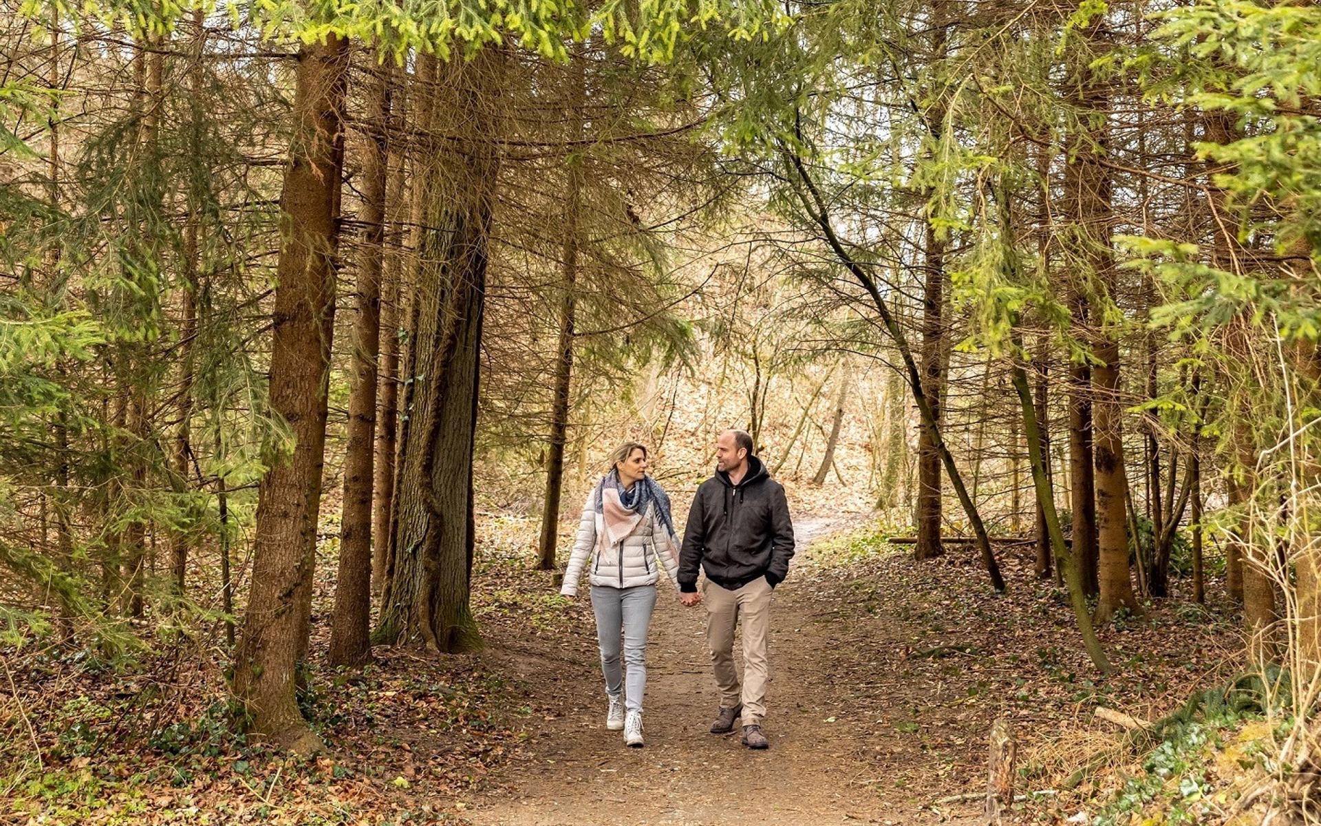 Gigers beim Spazieren im Wald