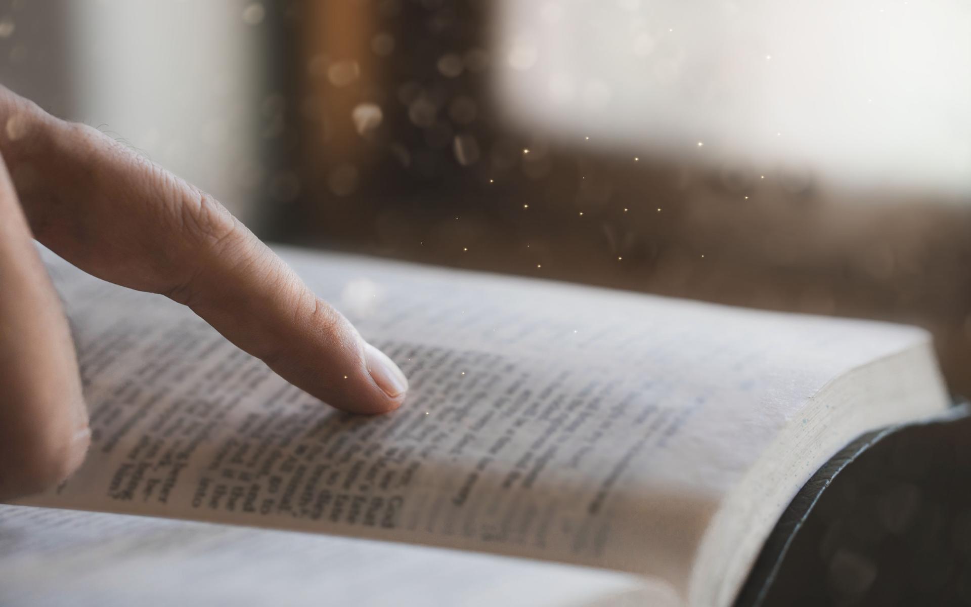 Bibel lesen
