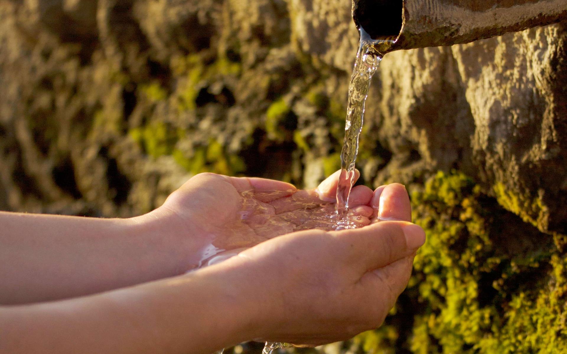Von der Wasserquelle trinken