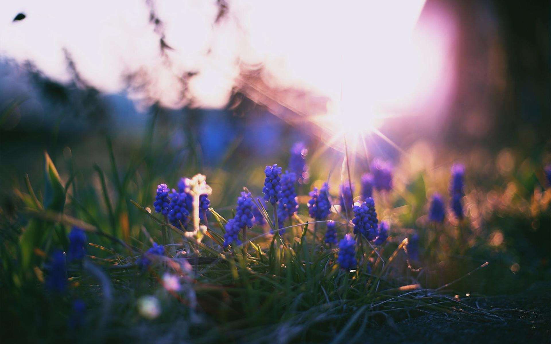 Im Frühling werden die Sonnenstrahlen wieder kräftiger