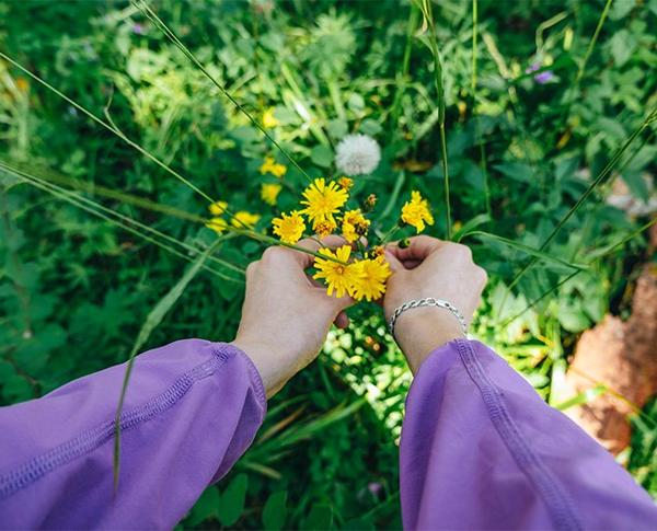 Blumen pflücken