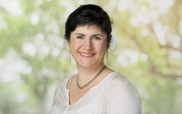 Stephanie Schleith