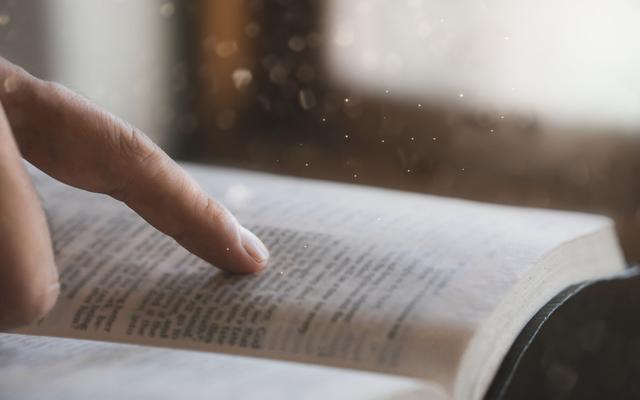 Bibel lesen
