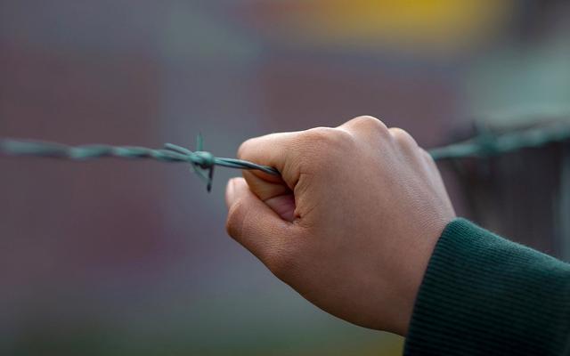 Hand an Stacheldraht