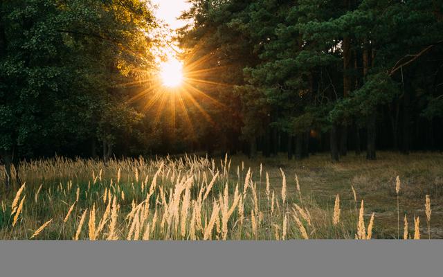 Sonne bringt Licht ins Dunkeln