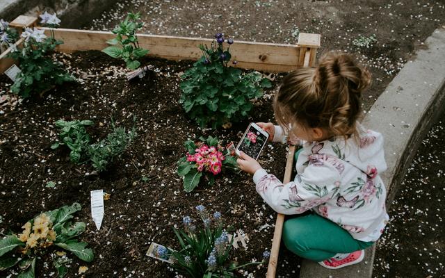 Es ist nicht schwer, Kinder für die Schöpfung zu begeistern