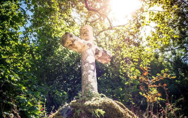 Kreuz in der Natur