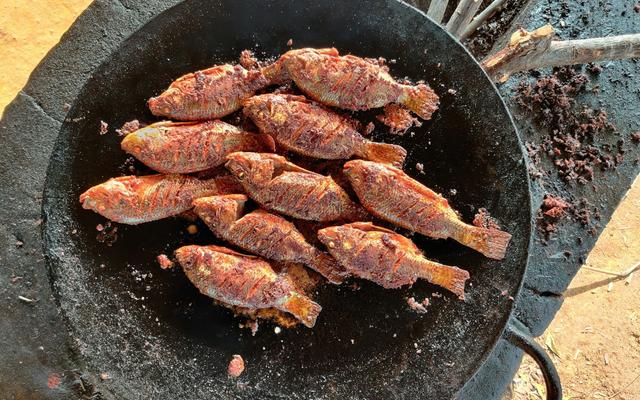 Gegrillter Fisch