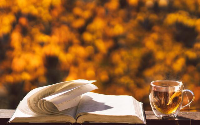 Was ist die Essenz der Bibel?